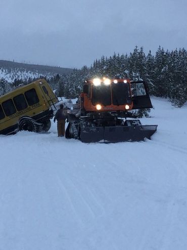 Yellowstone-Winter Tour