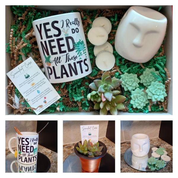 Plant Lovers Gift Set