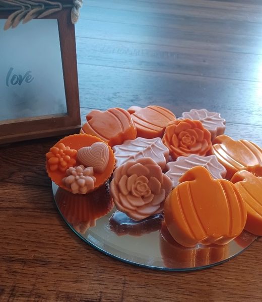 Pumpkin Spice Delight Waxmelts