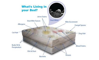 The Best Mattress Cleaners