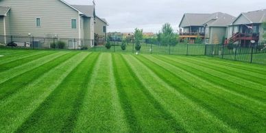 Lawn Care Maintenance