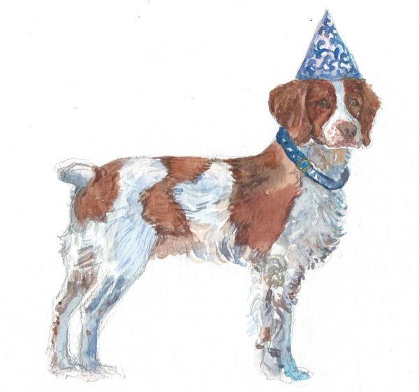 Pet Portraits as Birthday Cards