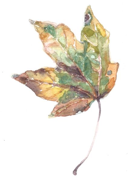 12 Printed Green Fall leaf Place Cards