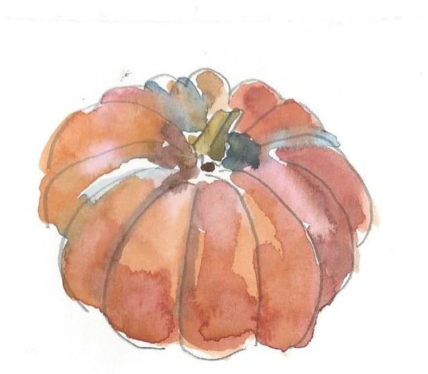 12 Printed Orange Pumpkin Place Cards
