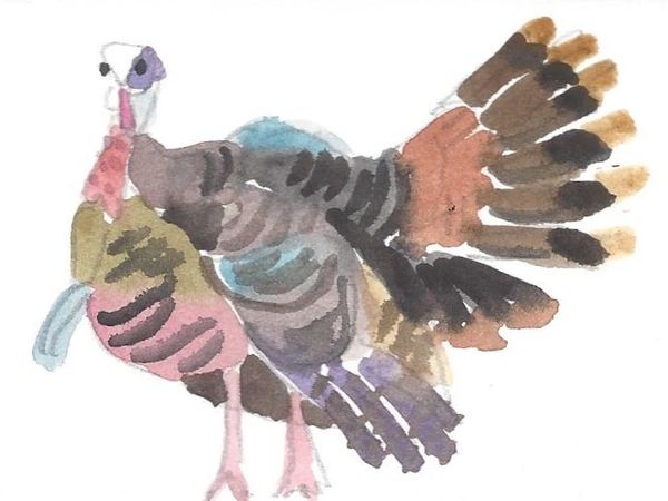 12 Printed Turkey Place Cards