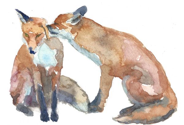 12 Printed Fox Love Place Cards
