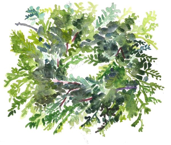 6 Printed Wreath Gift Tags/Enclosures