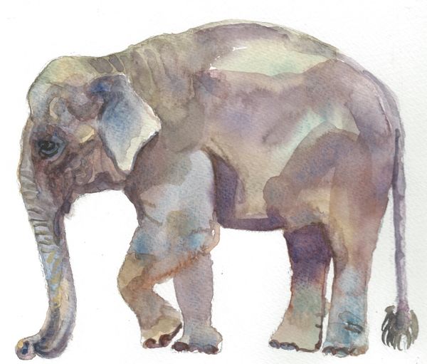 6 Printed Asian Elaphant Gift Tags/Enclosures