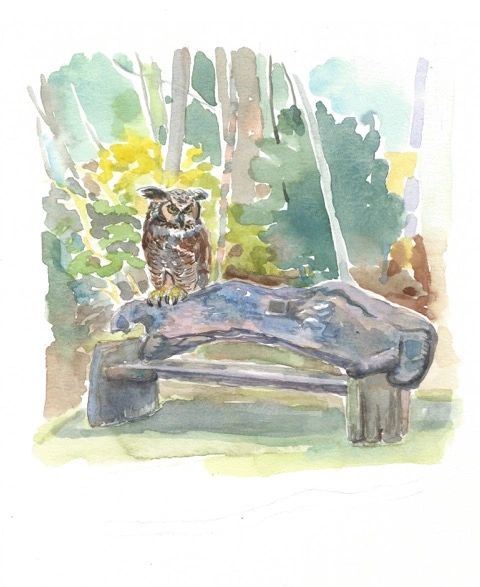 Limited Edition Print of Owl and Bench