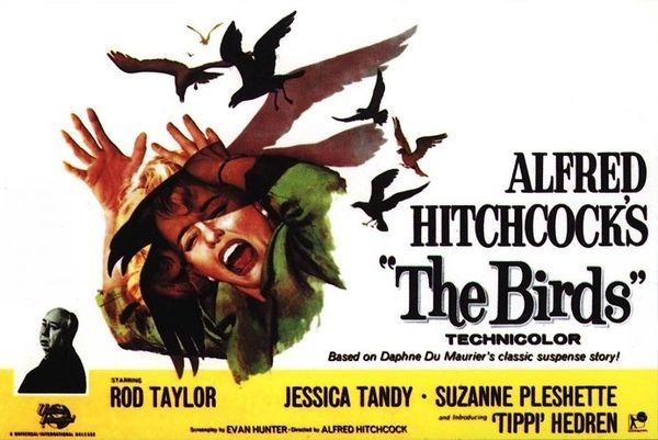 BIRDS (1963)