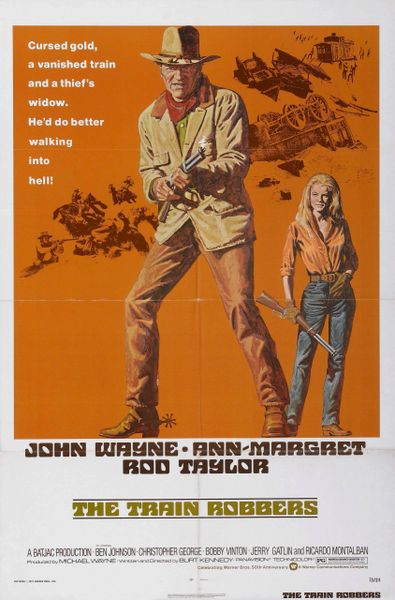 TRAIN ROBBERS (1973)