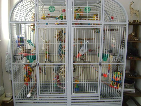 Parrot cage store