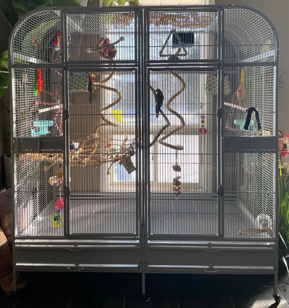 Pets at home parrot cages hotsell