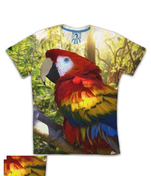 Parrot