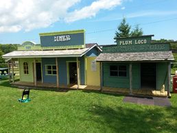 Play-Farm | Plum Loco Animal Farm