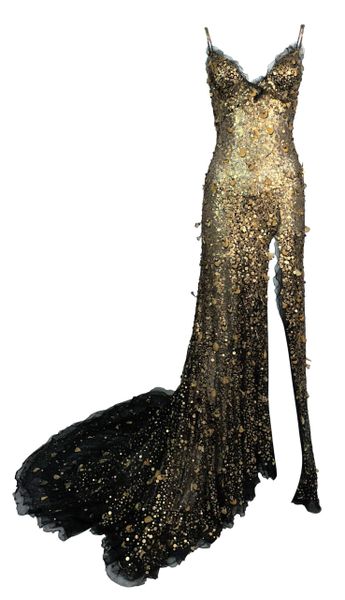 F/W 2004 Donna Karan Sheer Black Mesh Gold Embellished Gown Dress w Train