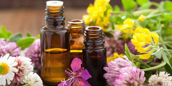 dōTERRA Essential Oils – Health In Motion