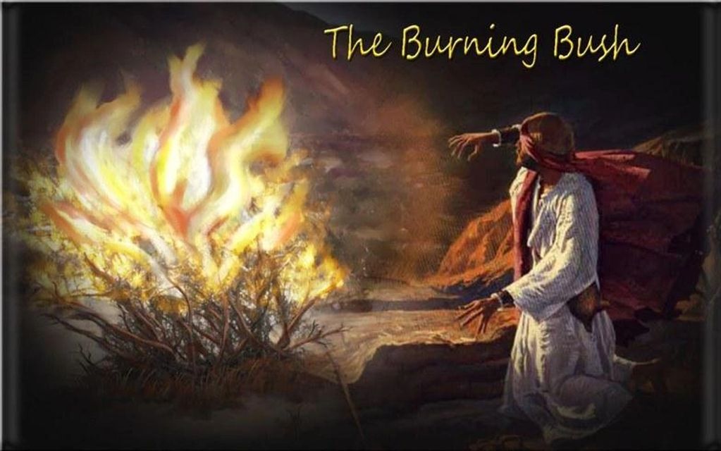 The Burning Bush