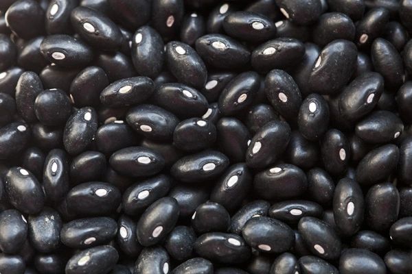 Dry Black Turtle Beans