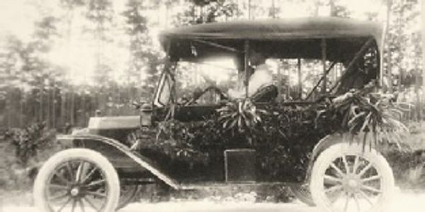 David Fairchild's automobile with crotons