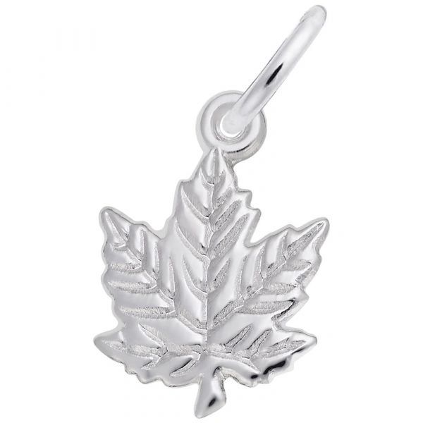  Aydinids 50 Pcs Maple Leaves Charms Leaf Fall Charms Pendants  Mixed Color Leaf Vintage Alloy Tree Leaves for DIY Jewelry Crafts Birthday  Party Gifts