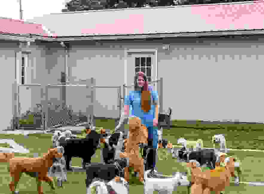 Doggie Day Care Happy Tails Day Care & Pet Resort