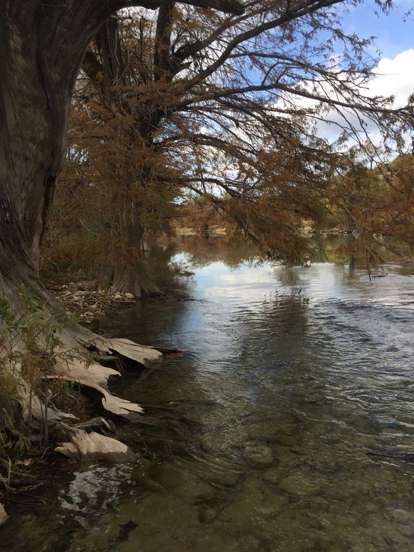 Pedernales in Fall (Katherine Peake)