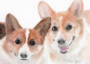 Julep and Sully, Corgis
Photo Credit Debbie Morgan
Limited Edition Prints and Note Cards Available