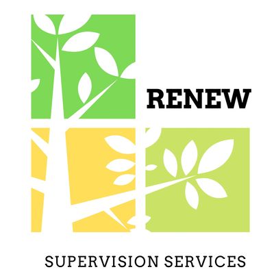 Renew: Providing support with Parenting Time activity plans