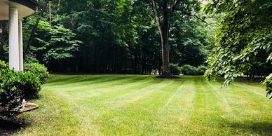 lawn mowing service nokesville