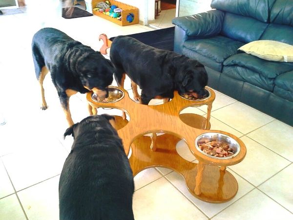 TANK dog dinner table. 4 BOWLS