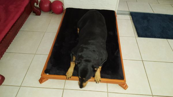 ming dog bed