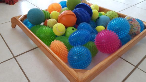 DOG TOY CORRAL