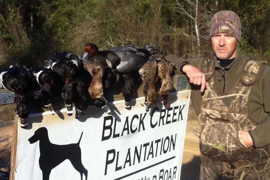 Black Creek Lodge Quail Hunting, Hog Hunting, Duck Hunt
