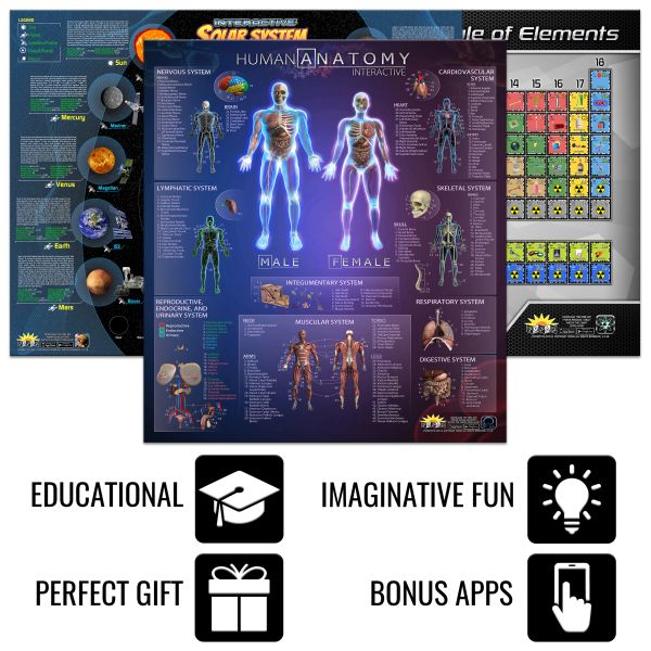 Popar Smart Charts Package-Big | Popar Smart Bags, Toys, Books, Puzzles