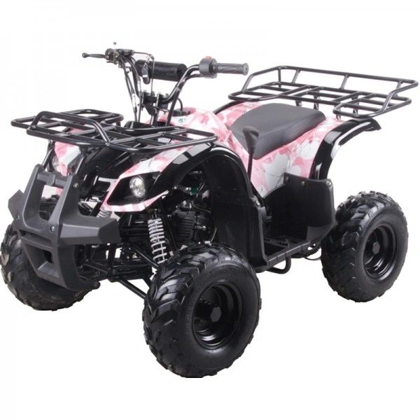 125cc Kids ATV w/reverse, remote engine kill & Throttle Limiter | Blue ...