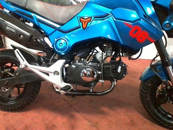 bikecraft tail tidy