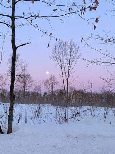 Moore's Bay of the Chippewa Flowage during winter