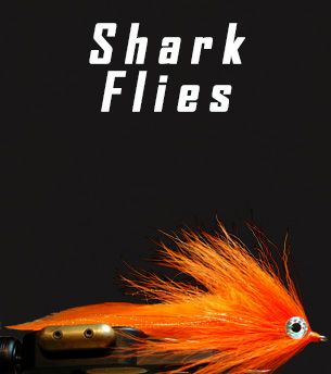 Shark Flies