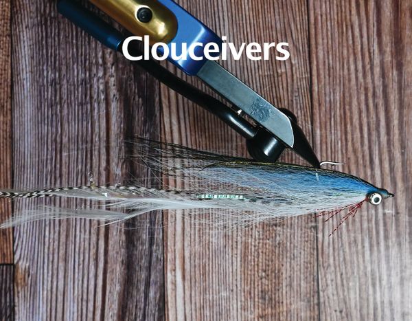 Clouceivers 1