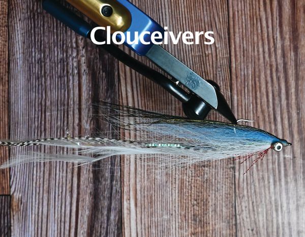 Clousceivers 1