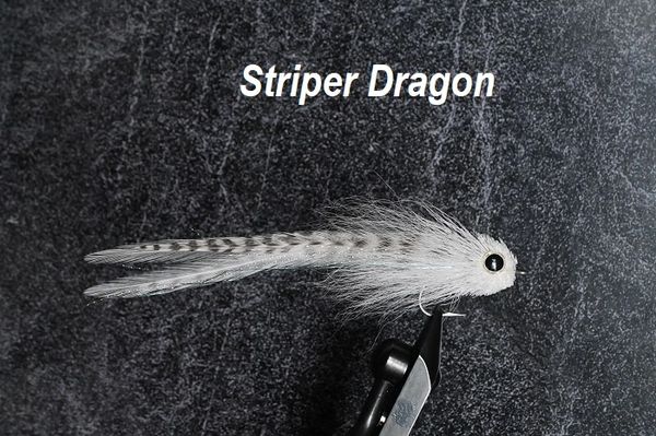 Striper Dragon