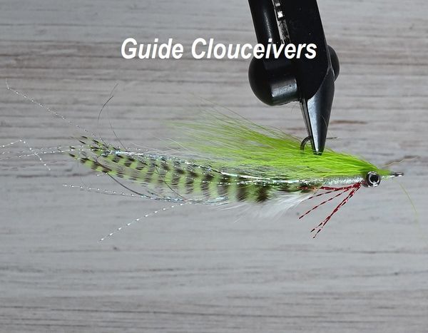 Guide Clouceivers