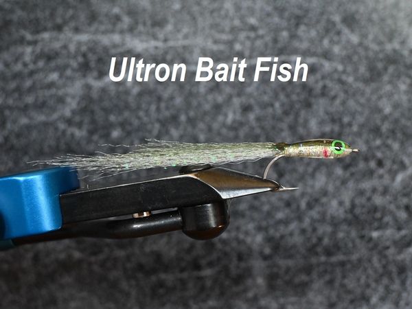 Ultra Epoxy Bait Fish