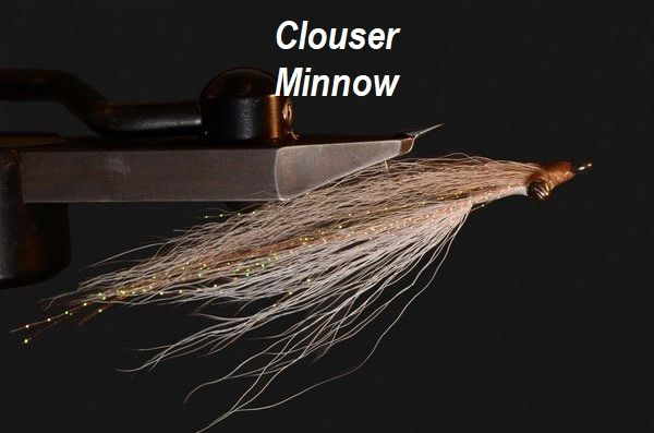 Clouser Minnow 2