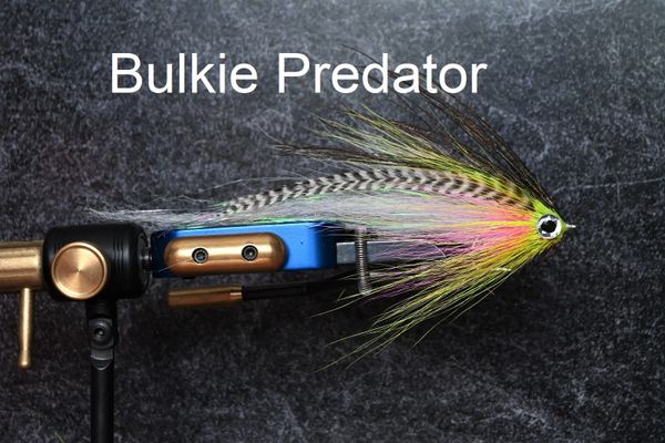 Bulkie Predator