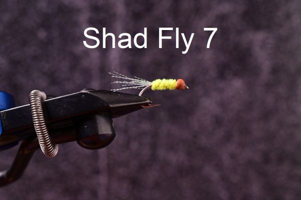 Shad Flies  Saltwater Custom Flies