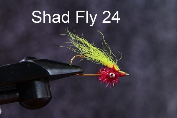 Shad Flies 4  Saltwater Custom Flies