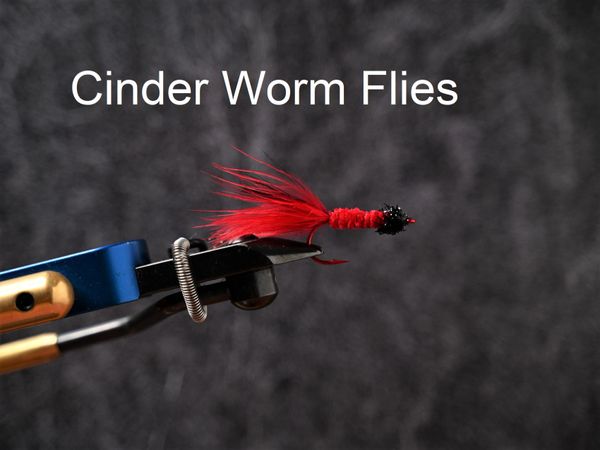 Cinder Worm Flies