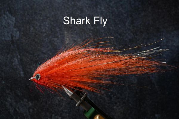 Shark Flies